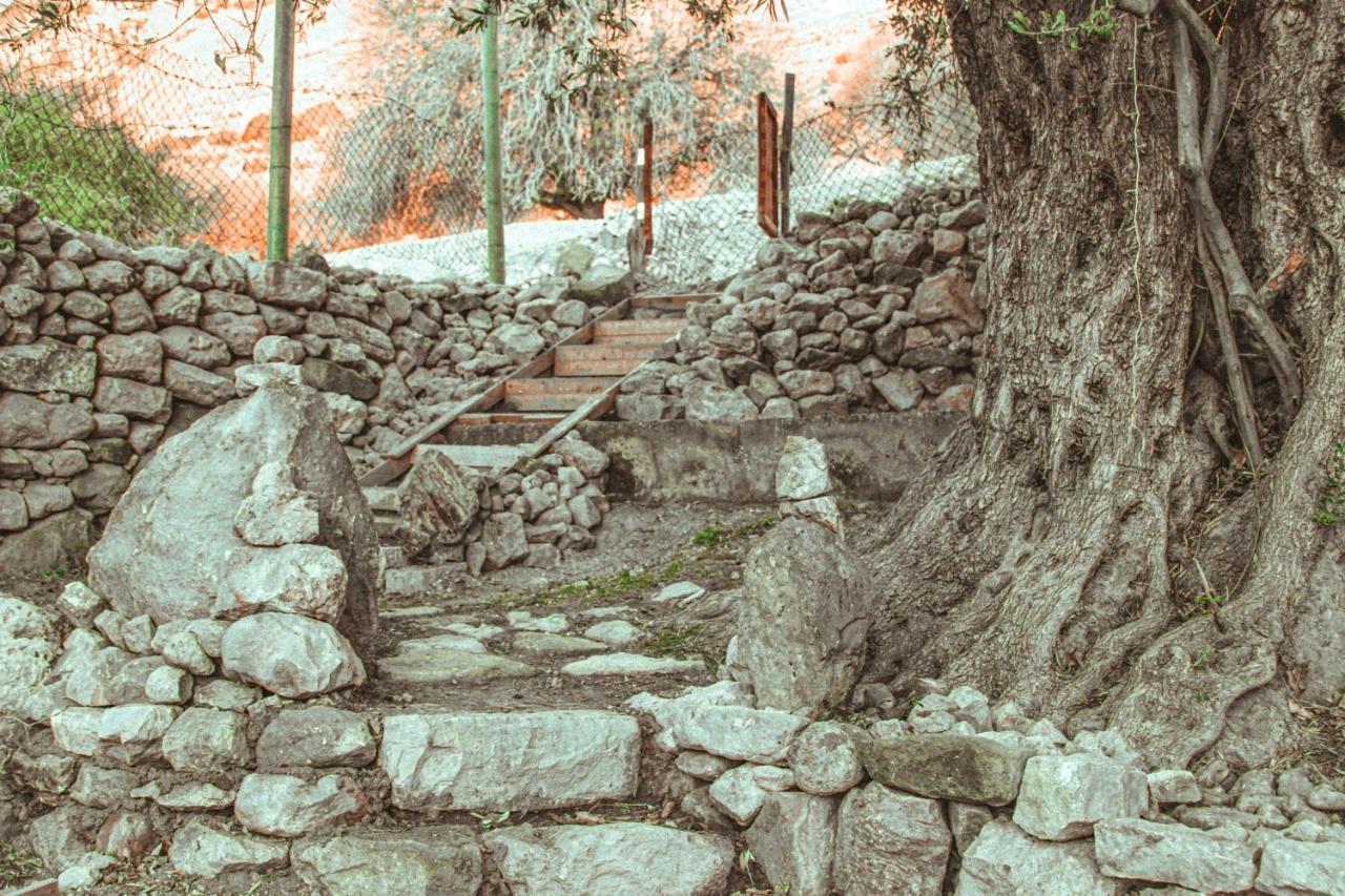 Hobbit Village Дана Екстериор снимка